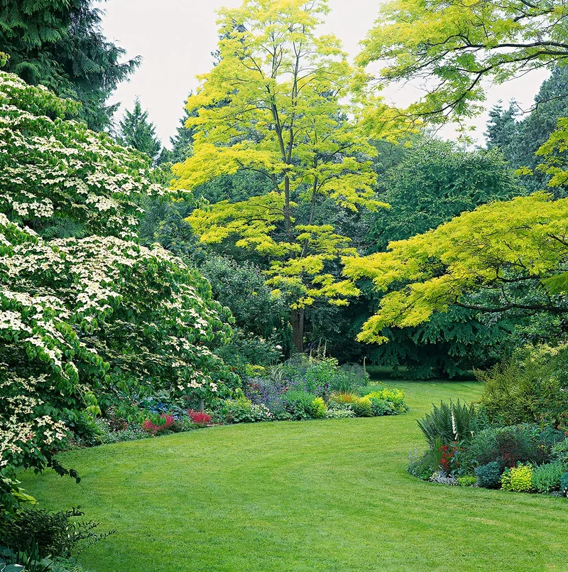 Plant Shades of Green