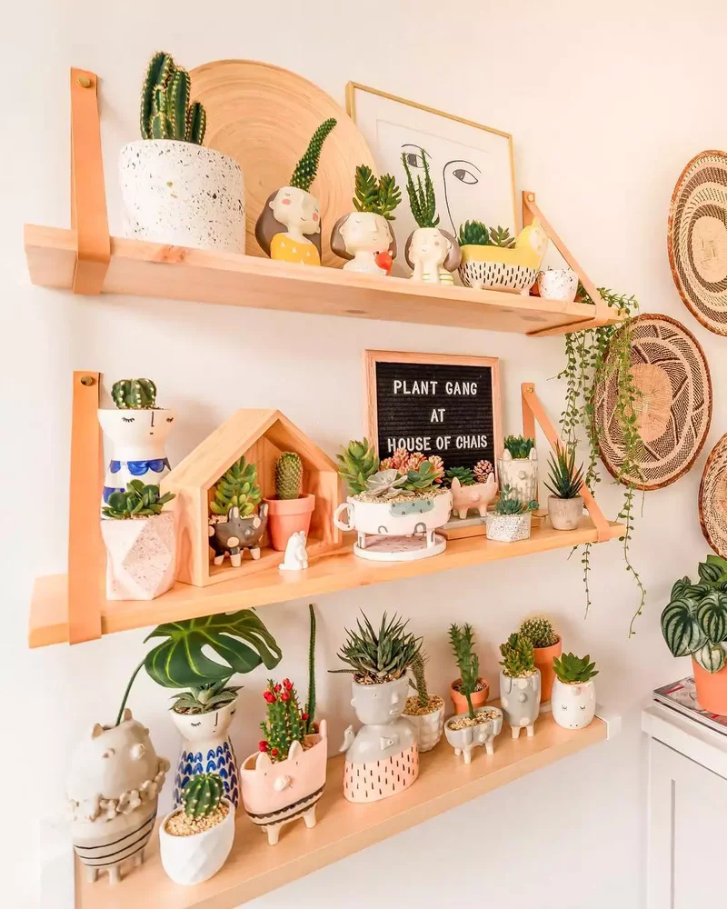 Plant Shelf Letter Board