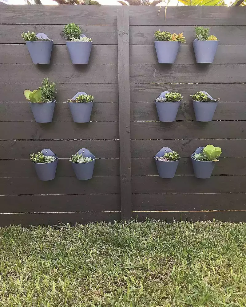 Plant Wall