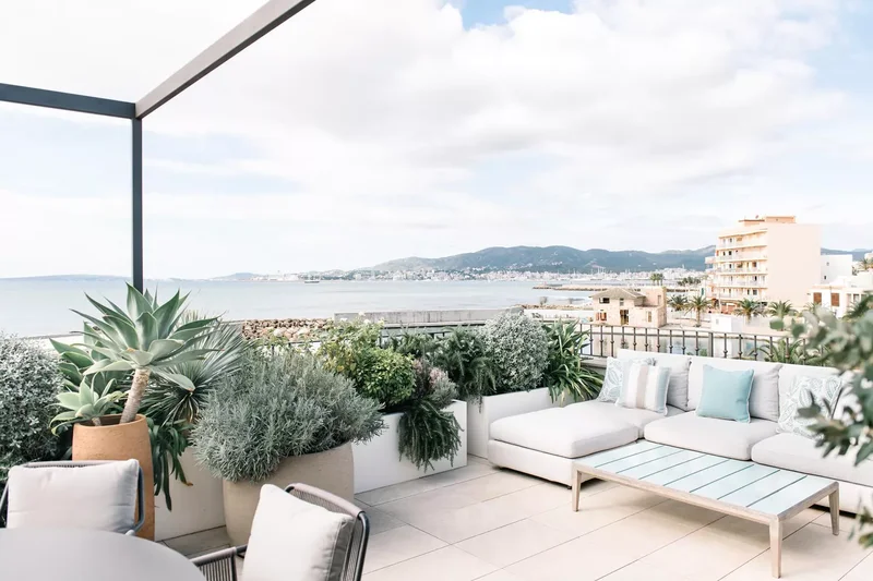 21 Apartment Patio Ideas to Transform Your Outdoor Oasis 5 Plant a Green Screen