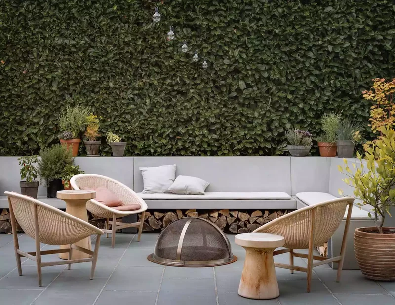 Plant a Tall Green Wall