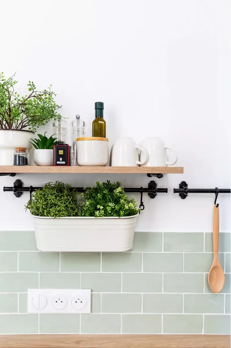 Plant an Indoor Herb Garden