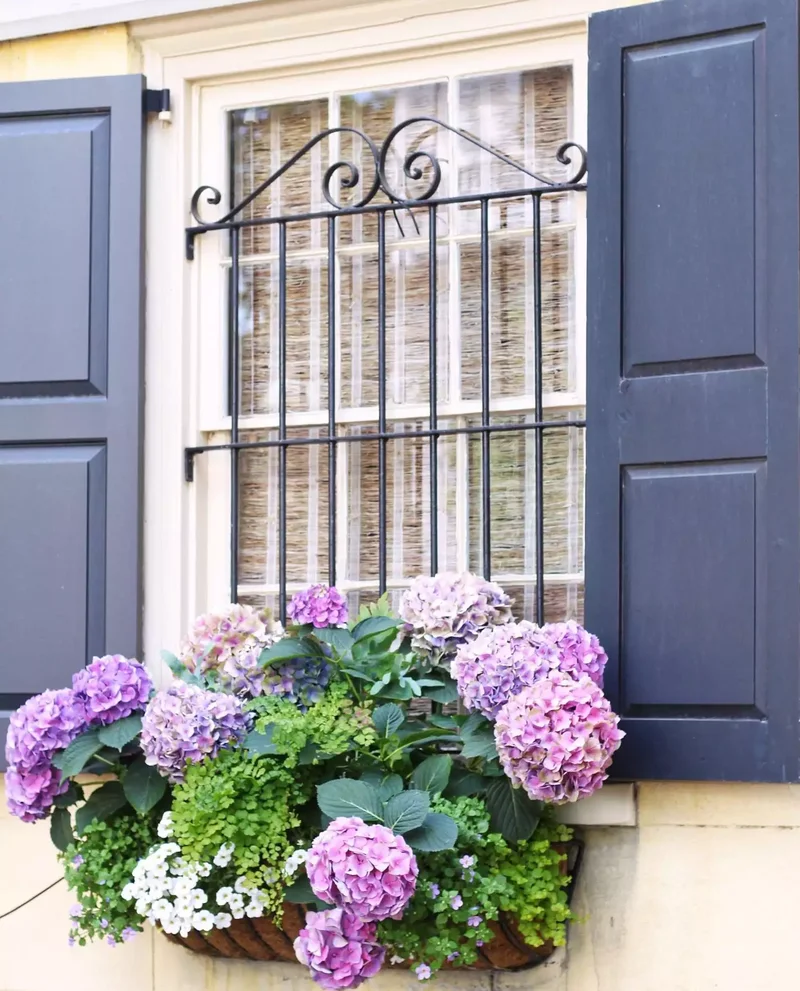 82 Stunning Front Yard Landscaping Ideas to Try This Spring 82 Planter-Friendly Hydrangeas