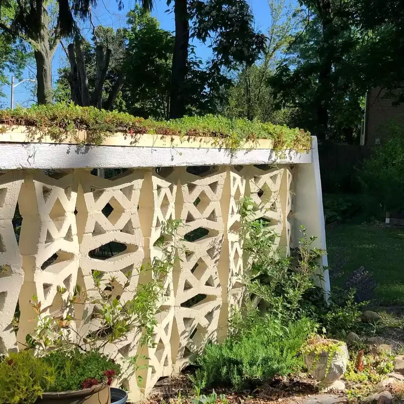 20 Stunning Garden Wall Ideas to Transform Your Landscape 2 Plants Growing On Top