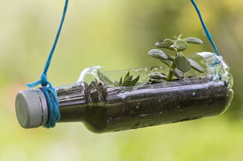 35 DIY Backyard Garden Projects to Transform Your Space 8 Plastic Bottle Garden