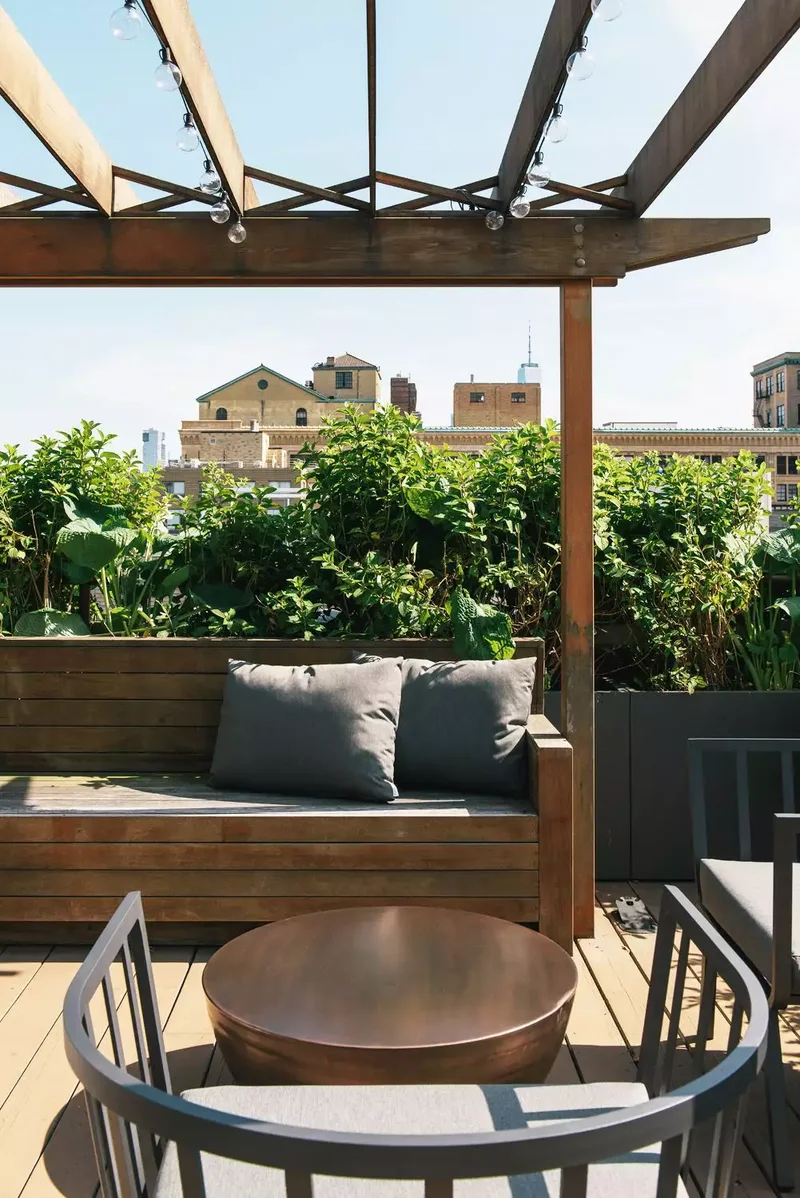 Position Your Plants