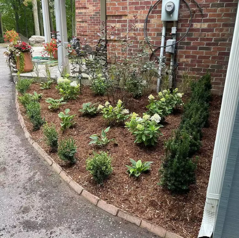 Practical Corner Garden