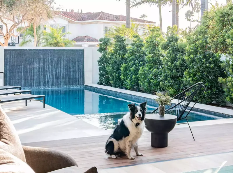 44 Stunning Water Feature Ideas to Transform Your Yard 11 Privacy Wall Water Feature