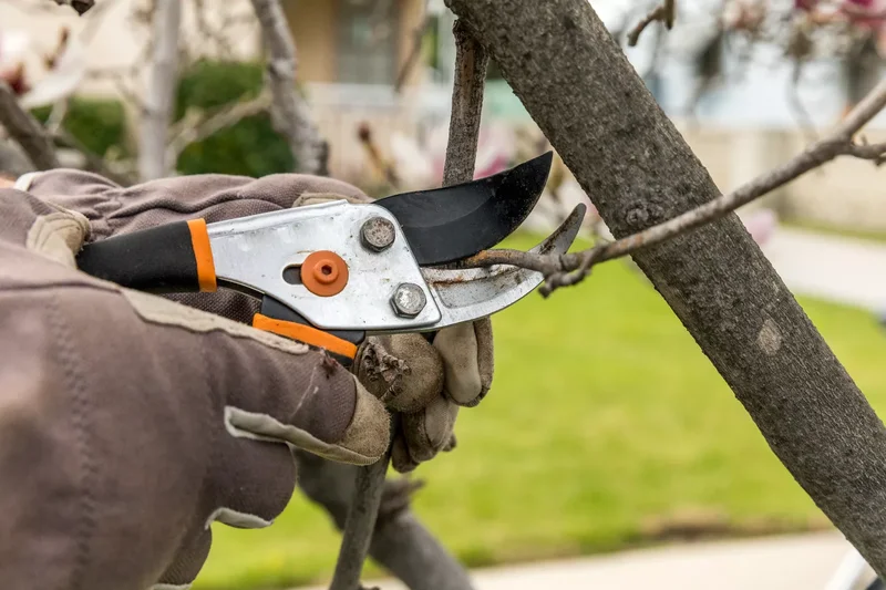 22 Winter Garden Projects That'll Inspire Cold-Weather Planting 22 Prune Dormant Trees