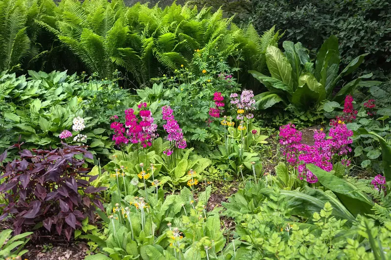 27 Stunning Flower Garden Designs and Layout Inspirations 9 Rain Garden