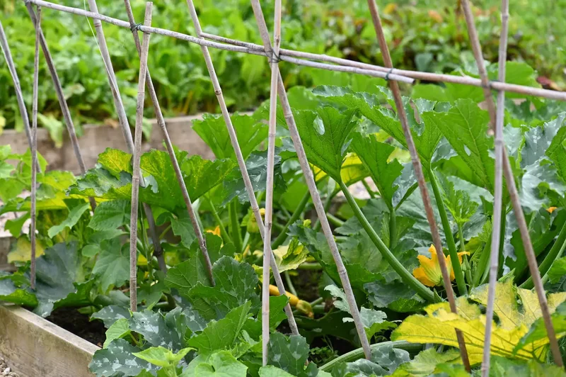 32 Creative Raised Garden Bed Ideas for Your Outdoor Space 2 Raised Bed Arbor