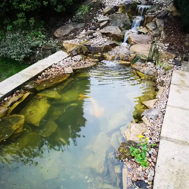 Rehabbing a Concrete Pond