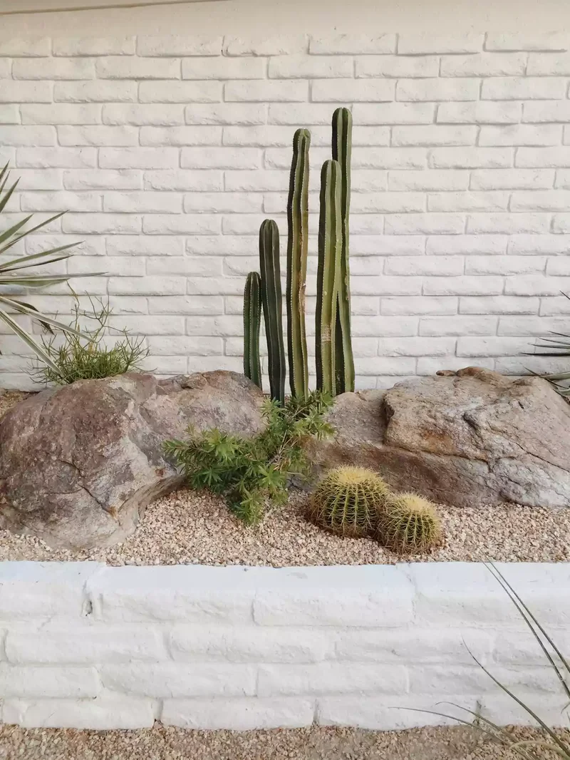 Retaining Wall Garden