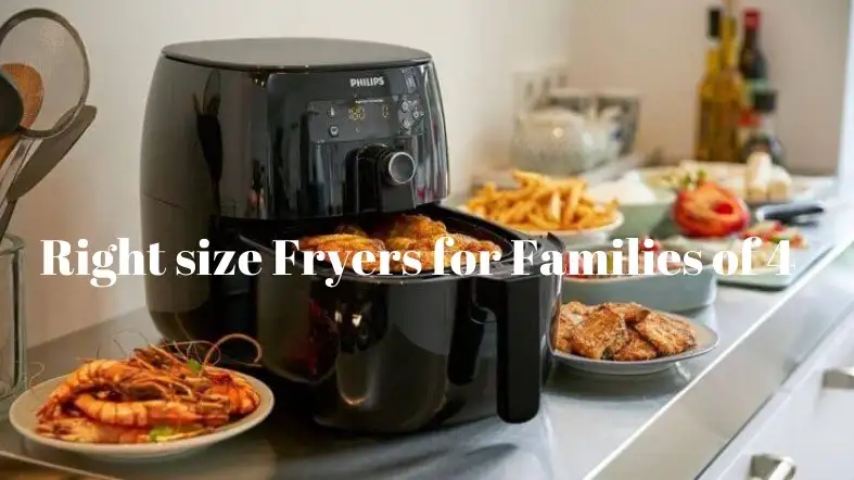 Right size Fryers for Families of 4