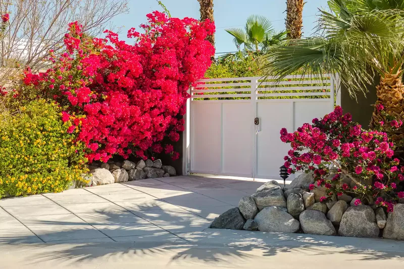 24 Stunning Driveway Landscaping Ideas for Amazing Curb Appeal 2 Rocks and Flowering Bushes