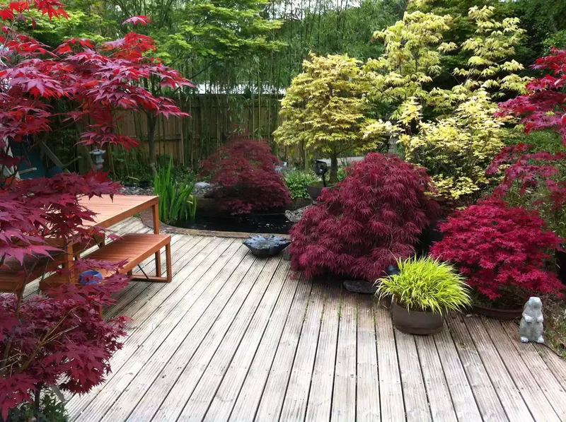 66 Beautiful Patio Landscaping Ideas for Your Outdoor Space 4 Select the Right Trees