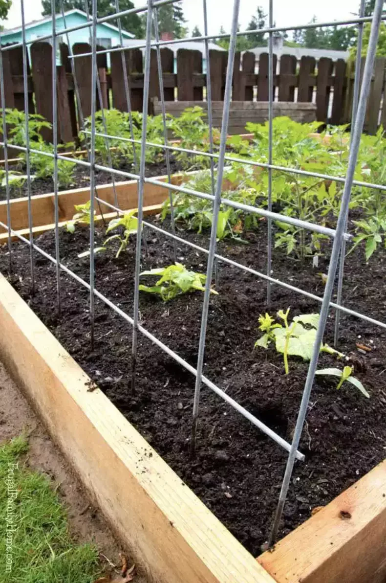 35 Garden Trellis Ideas for Beautiful Supported Plants 20 Simple DIY Cattle Panels Trellis
