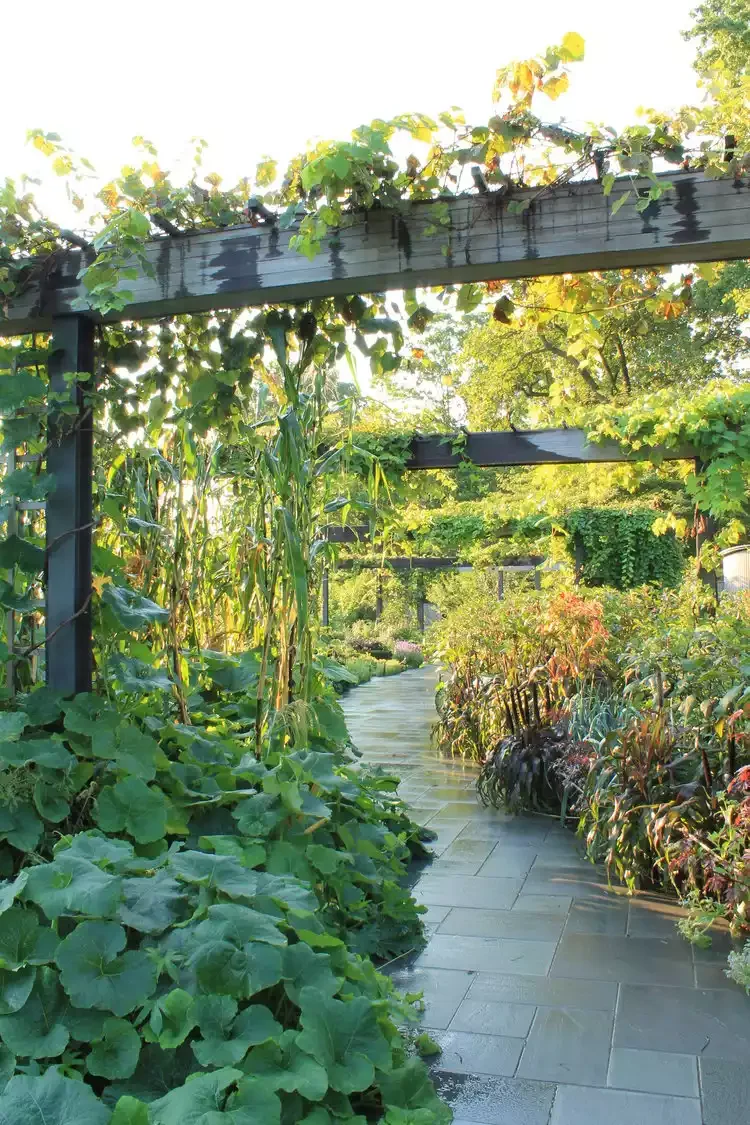 45 Beautiful Backyard Walkway Ideas to Transform Your Yard 29 Simple Walkway in a Lush Garden
