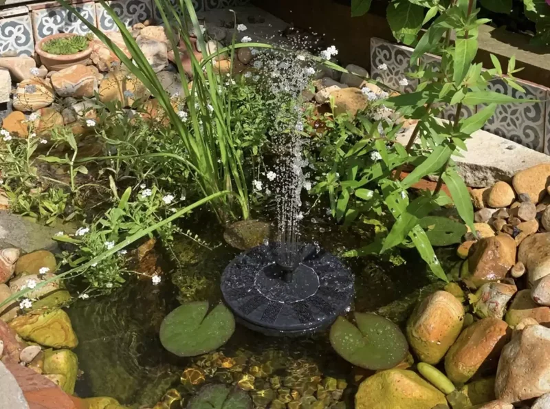 40 Budget-Friendly DIY Backyard Projects for Your Dream Oasis 16 Sit By Your Very Own Pond