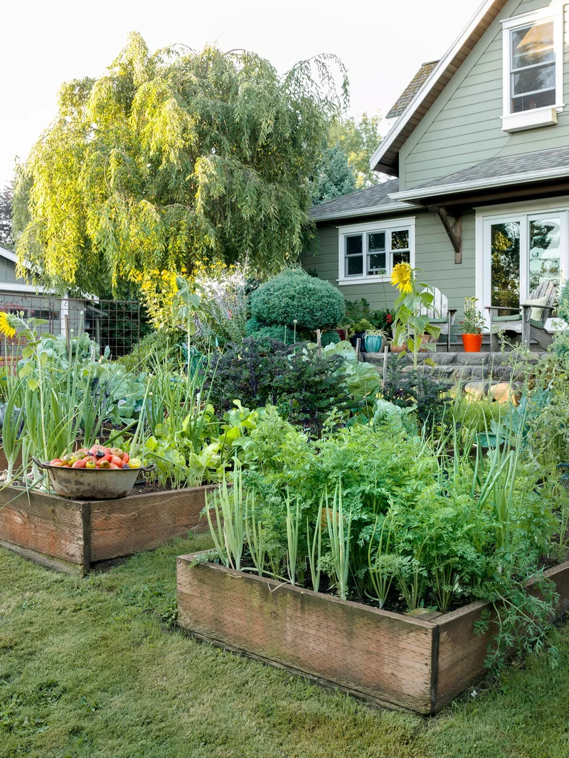 25 Beautiful Raised Garden Bed Ideas for Veggies & Flowers 15 Slope-Conquering Beds