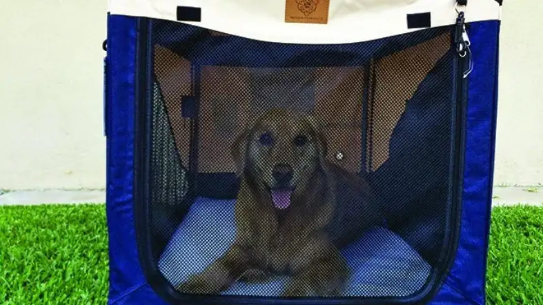 Soft-sided Crate For 40 Lb Dog