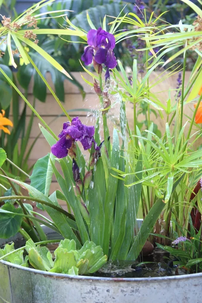 35 DIY Backyard Garden Projects to Transform Your Space 2 Solar Fountain