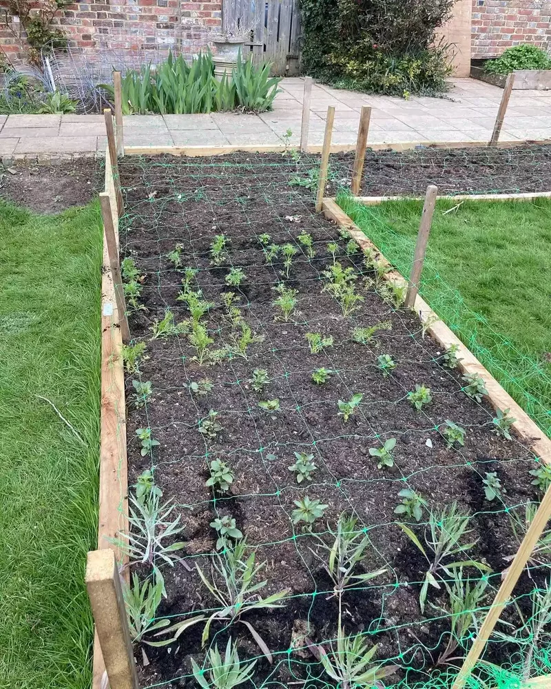 32 Creative Raised Garden Bed Ideas for Your Outdoor Space 27 Square Foot Raised Beds