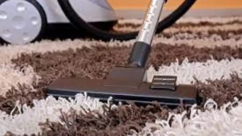 Start With Vacuuming The Rug