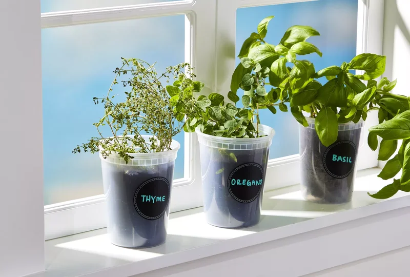 22 Winter Garden Projects That'll Inspire Cold-Weather Planting 7 Start an Indoor Herb Garden