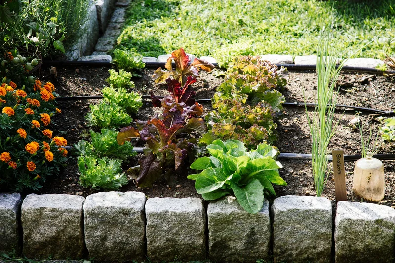 25 Beautiful Raised Garden Bed Ideas for Veggies & Flowers 7 Stone Paver Bed