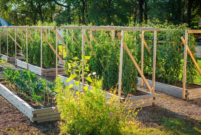 14 Garden Trellis Ideas to Showcase Your Vegetable Plants 6 String Up a Support