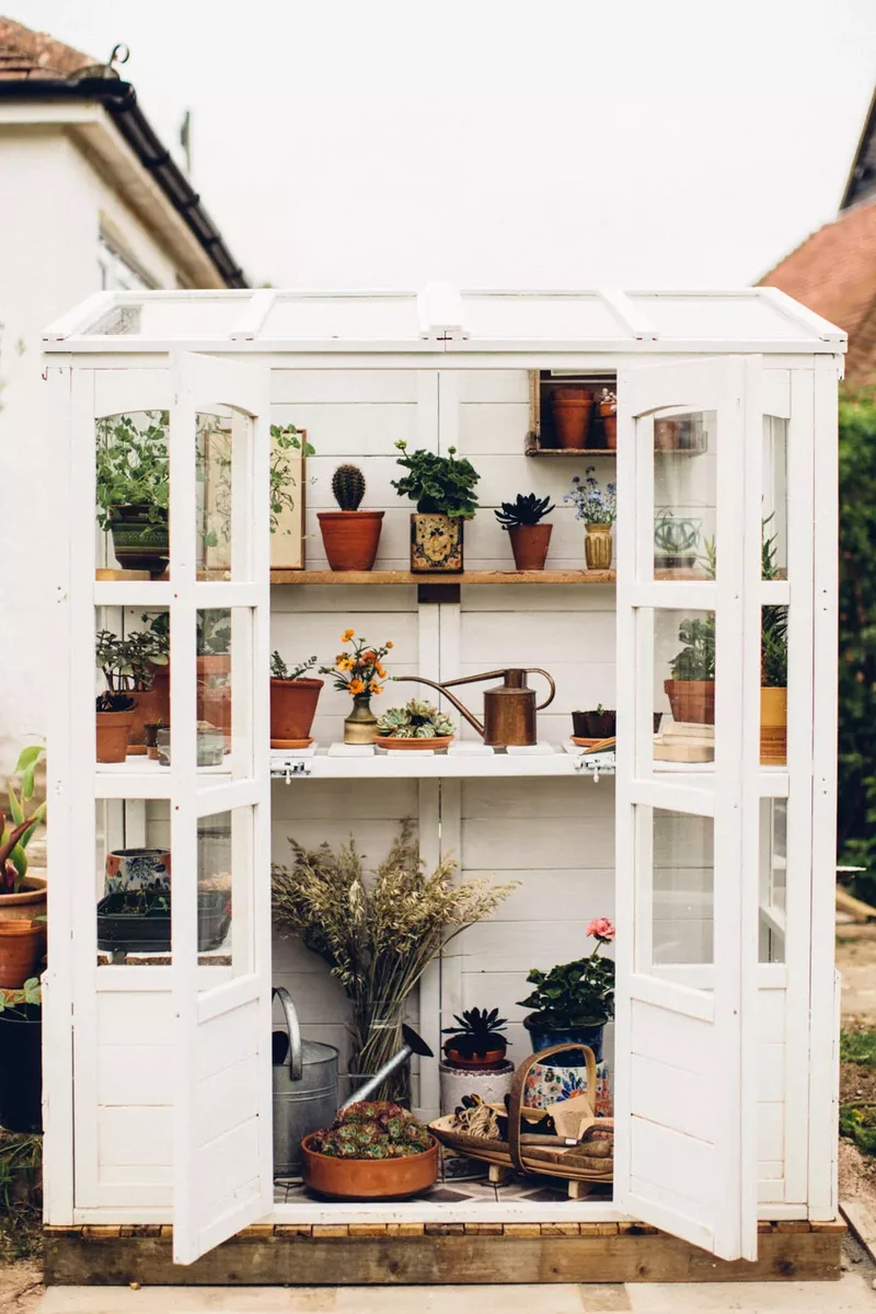 Style Your Greenhouse Shelves Like a Pro