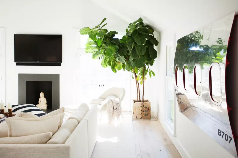 Supersize Your Greenery