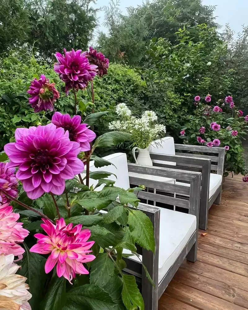 26 Secret Garden Ideas to Bring Your Favorite Books to Life 9 Surround Seating Areas With Flowers