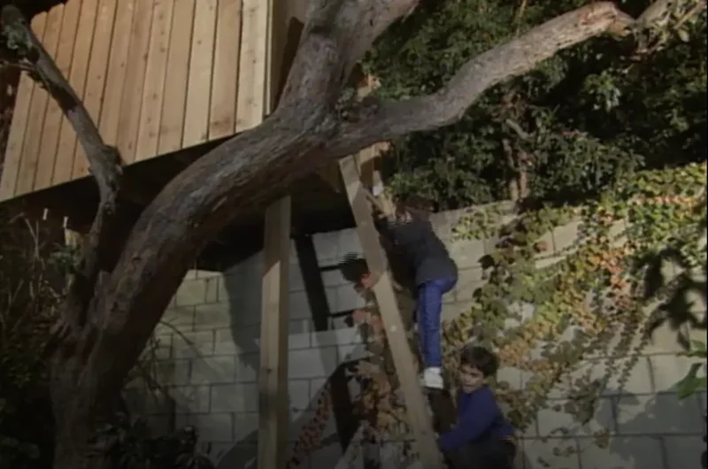 28 Creative Treehouse Ideas Your Kids Will Absolutely Love 26 Team Up With Your Neighbors