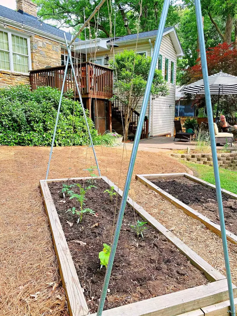 35 DIY Backyard Garden Projects to Transform Your Space 1 Tomato Trellis With Conduit