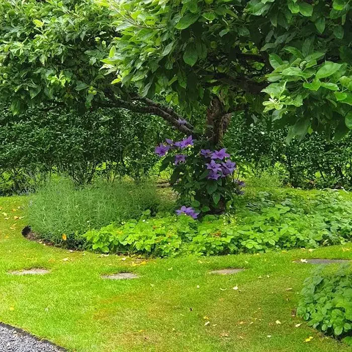 82 Stunning Front Yard Landscaping Ideas to Try This Spring 69 Tree Garden