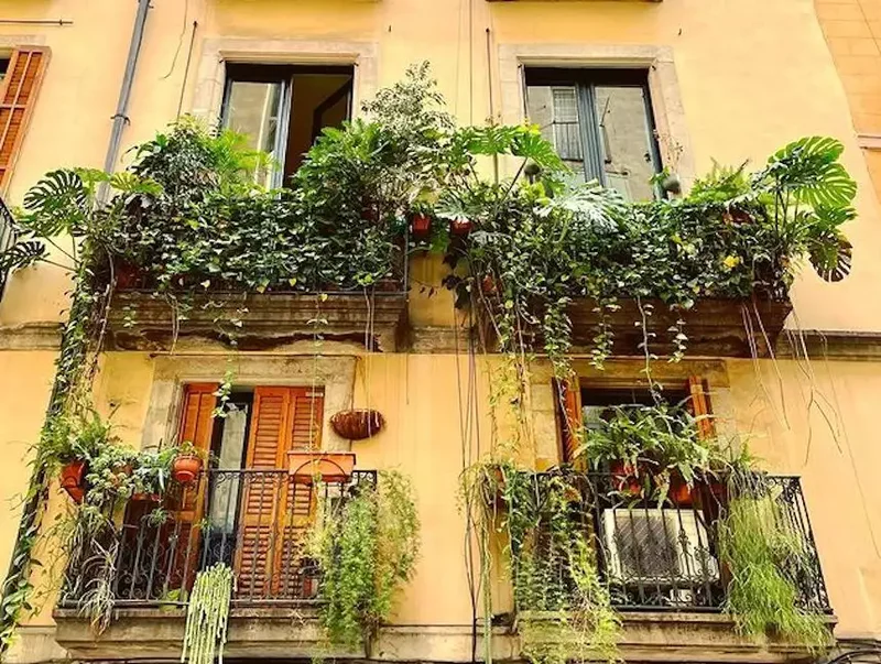 82 Stunning Front Yard Landscaping Ideas to Try This Spring 30 Tropical-Style Window Boxes