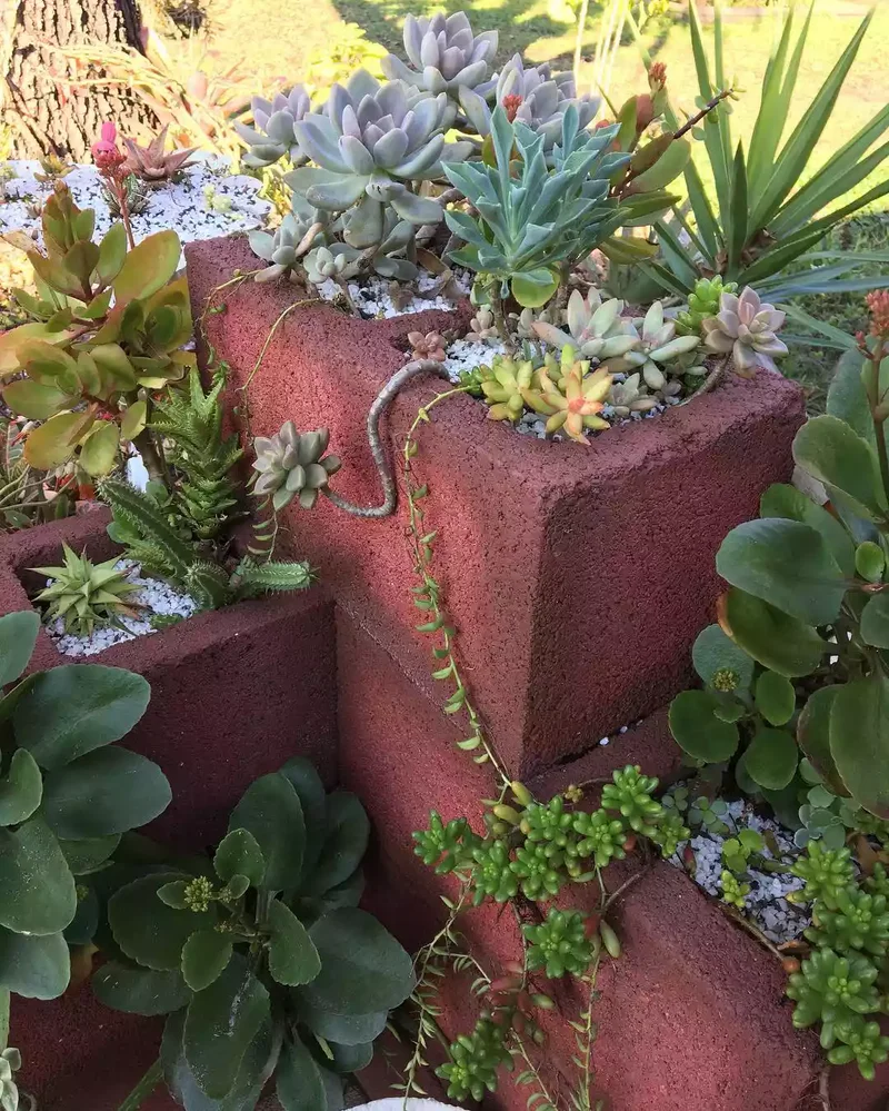 Try a Rusty Red Paint