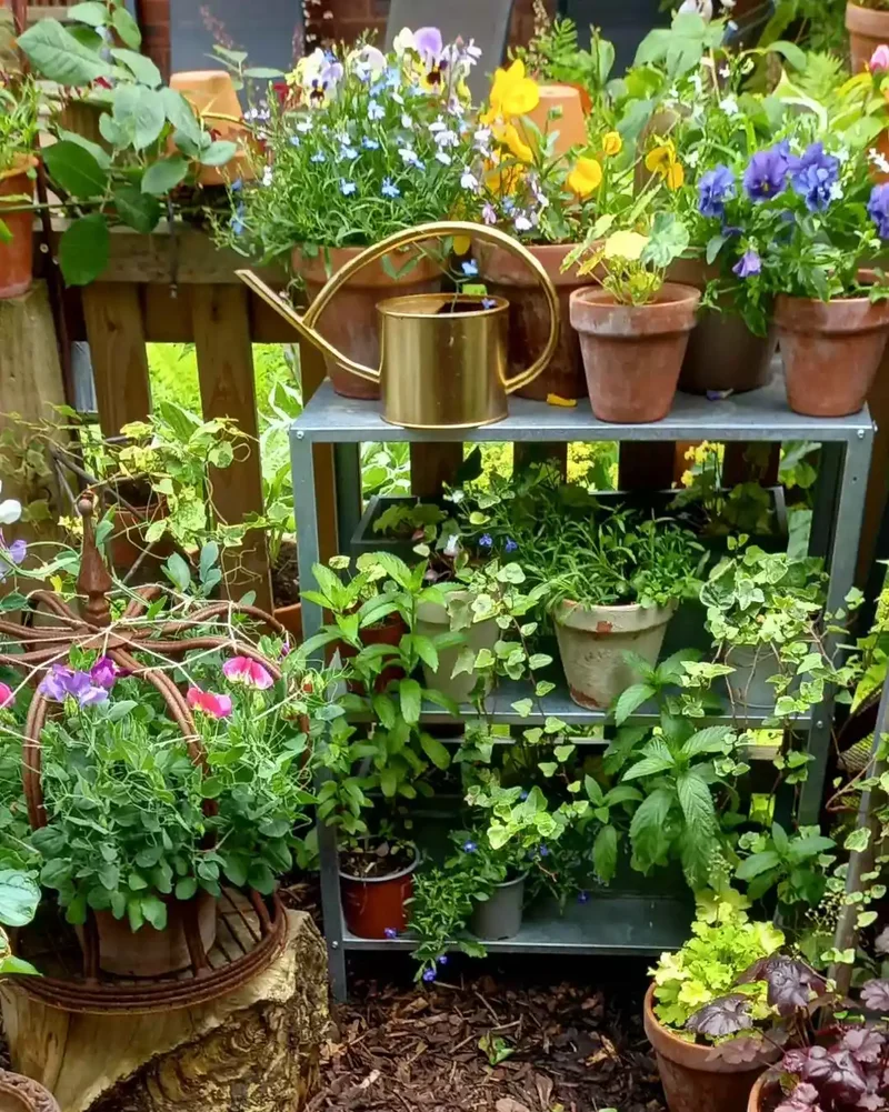 52 Wooden Fence Ideas Brimming with Rustic Outdoor Charm 45 Try a Simple Wooden Picket Fence