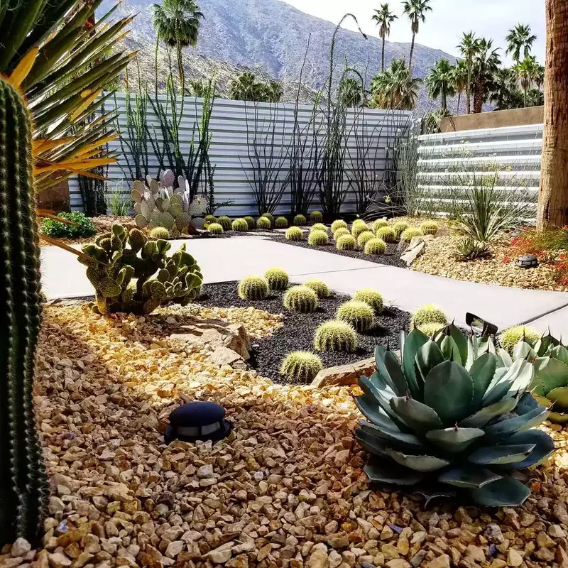 24 Beautiful Desert Landscaping Ideas for Hot Climates 23 Understand the Difference Between a Cactus and Succulent