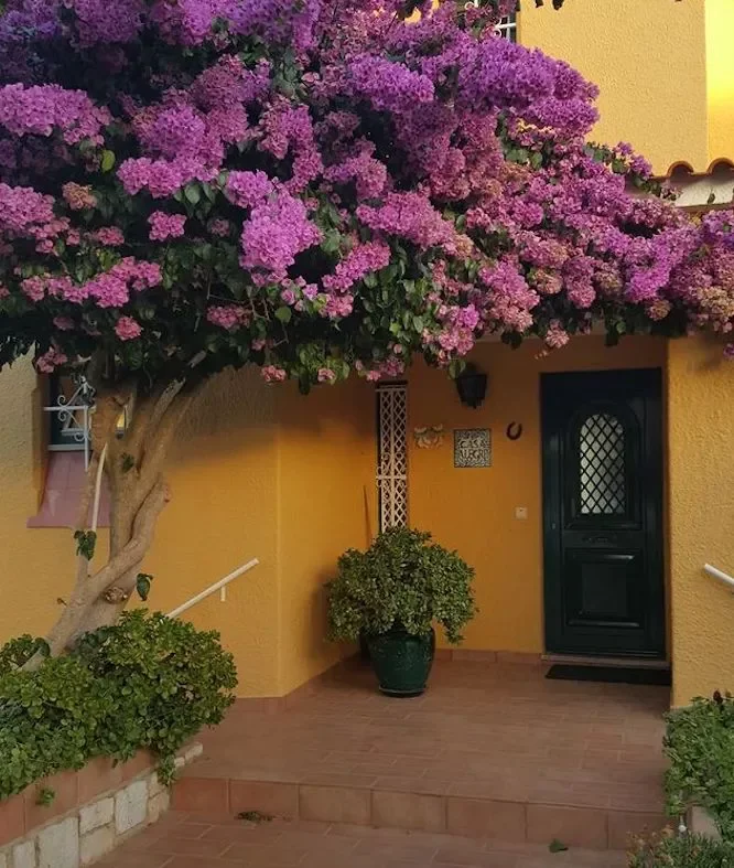 82 Stunning Front Yard Landscaping Ideas to Try This Spring 52 Unexpected Contrasting Colors