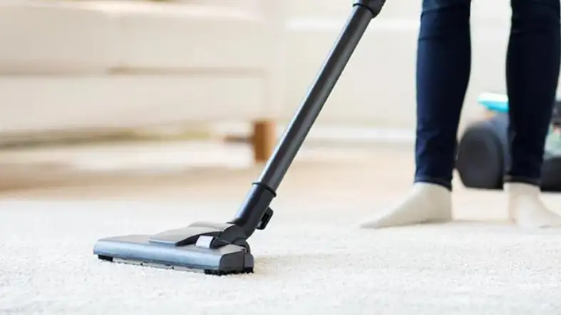 Use Regular Vacuuming