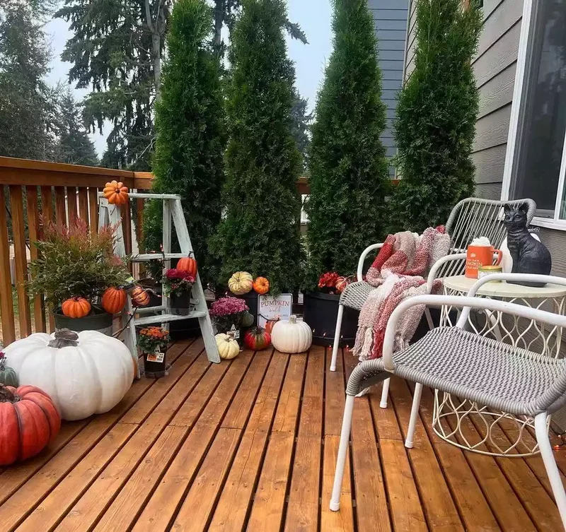 Use Trees to Make a Privacy Wall