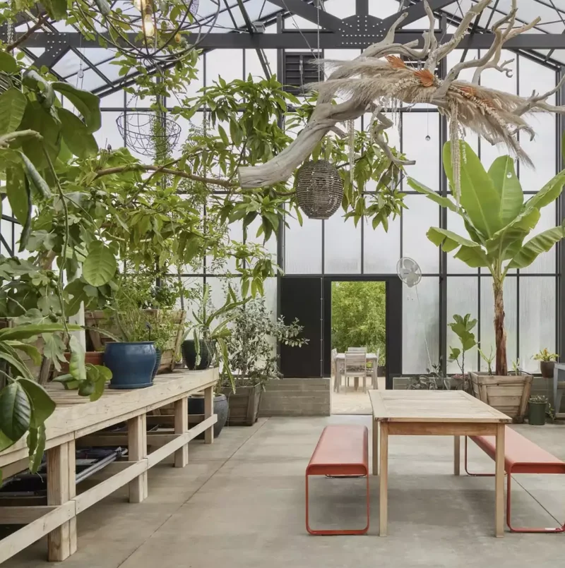 Use a Sizable Table for Both Dining and Planting