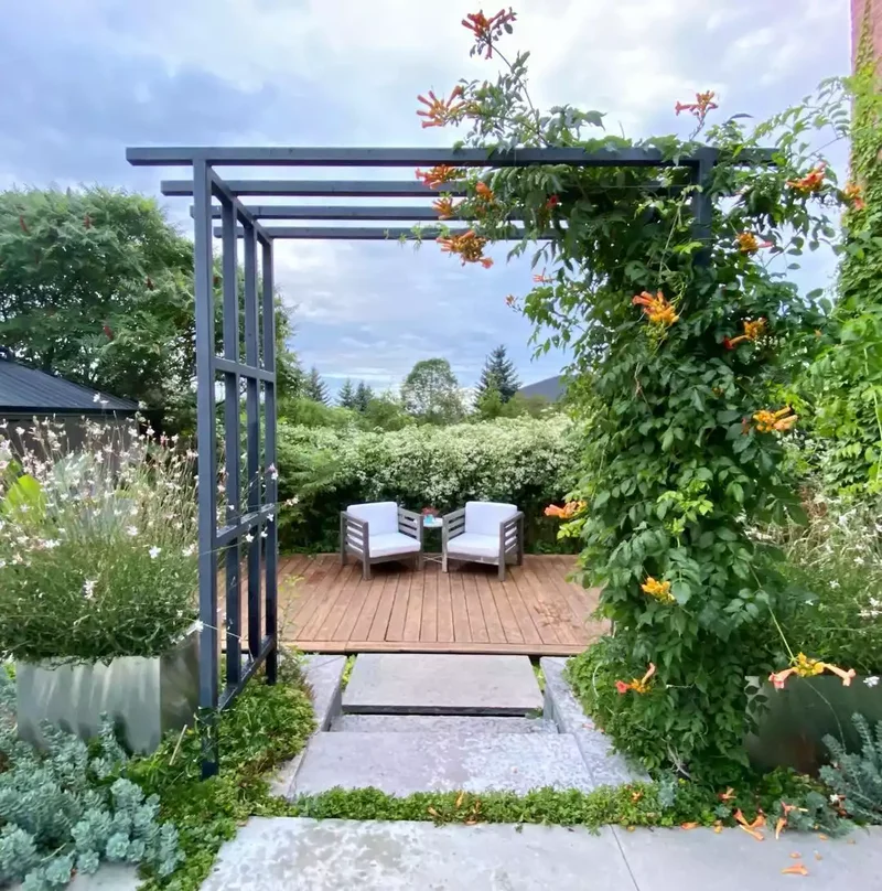 52 Beautiful Backyard Landscaping Ideas for Your Home 51 Vines on a Pergola or Arbor