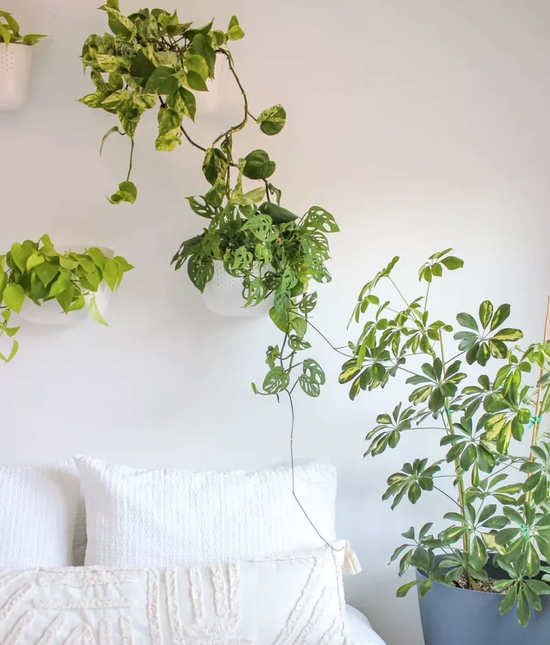 66 Creative Ways to Decorate Above Your Bed Beautifully 49 Wall-Mounted Plants