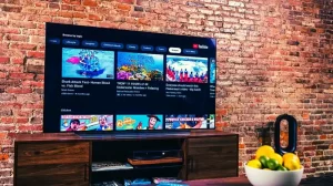 What Are The Dimensions Of A 55 Inch TV