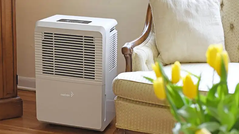 What Size Dehumidifier Do I Need For 1000 Sq Ft?