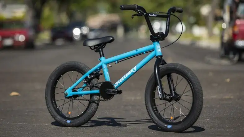 What Size Is BMX Bike Appropriate For A 6-Year-Old Child
